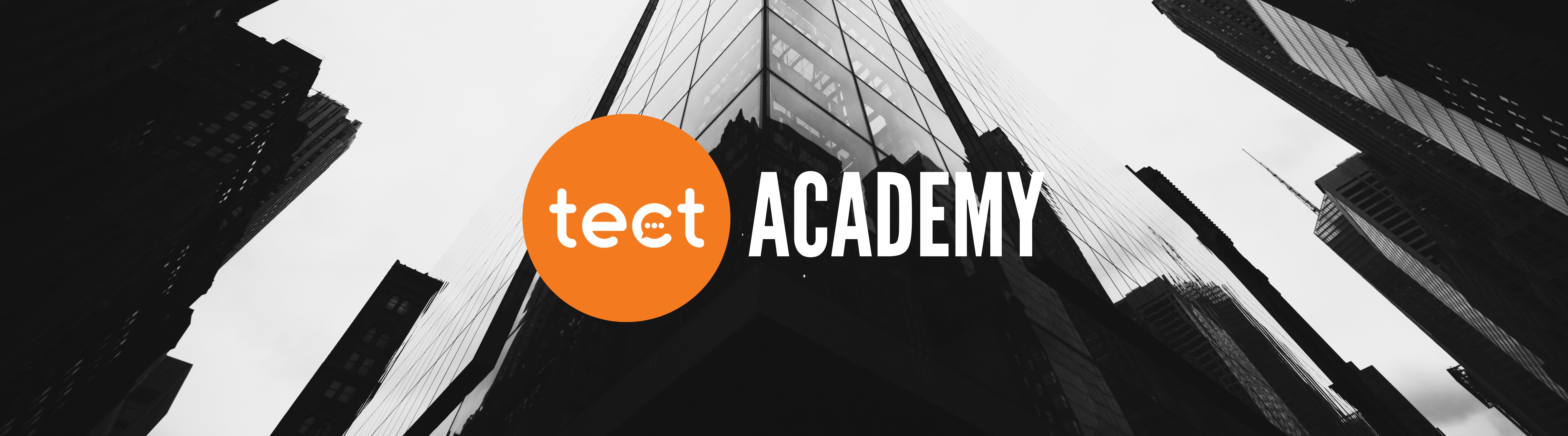 Tect Academy Banner 2 (72 × 24 in)